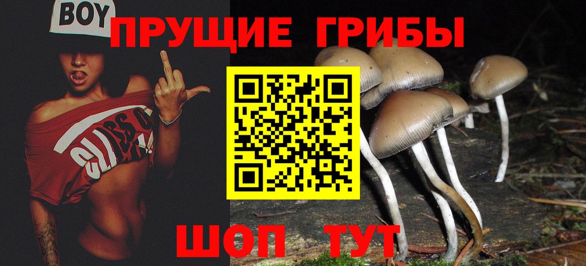 Галлюциногенные грибы прущие грибы Владивосток